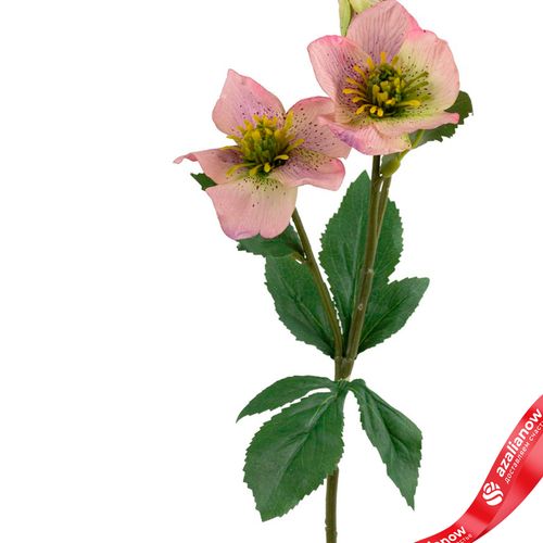 Фото 2: Хелеборус искусственный (пластик), 40см, светло-розовый