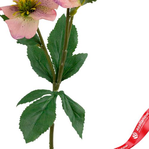 Фото 3: Хелеборус искусственный (пластик), 40см, светло-розовый