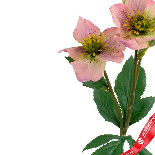 Фото 4: Хелеборус искусственный (пластик), 40см, светло-розовый