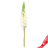 Маленькое фото 1: Эремурус искусственный (пластик), 82см, белый