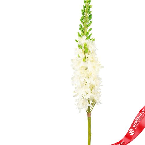 Фото 2: Эремурус искусственный (пластик), 82см, белый