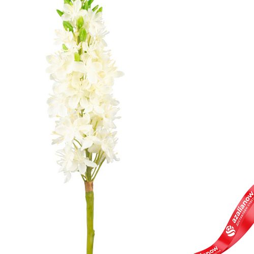 Фото 3: Эремурус искусственный (пластик), 82см, белый