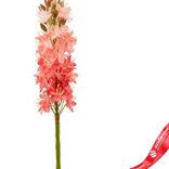 Маленькое фото 3: Эремурус искусственный (пластик), 82см, розовый