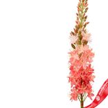 Маленькое фото 4: Эремурус искусственный (пластик), 82см, розовый