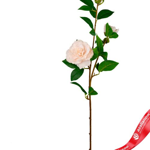 Фото 2: Камелия искусственная (пластик), 85см, белый