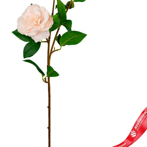 Фото 3: Камелия искусственная (пластик), 85см, белый