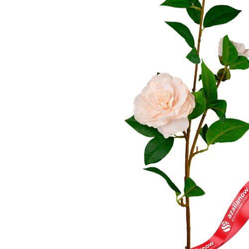 Фото 4: Камелия искусственная (пластик), 85см, белый