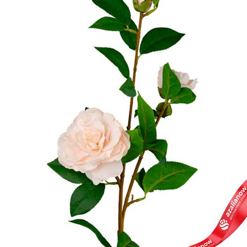 Фото 5: Камелия искусственная (пластик), 85см, белый