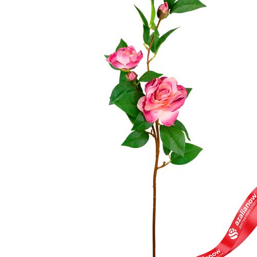 Фото 2: Камелия искусственная (пластик), 85см, розовый