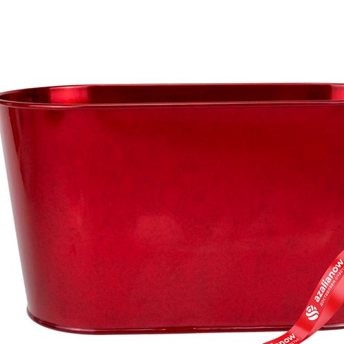 Фото 2: Кашпо (металл), 23x11,5хH12см, красный