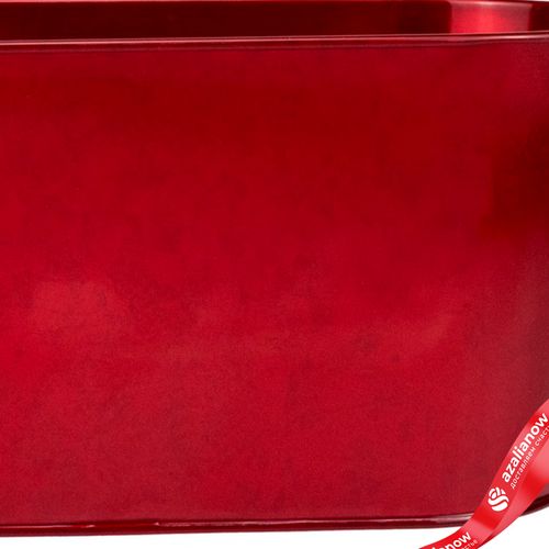 Фото 3: Кашпо (металл), 23x11,5хH12см, красный