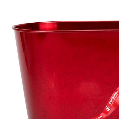 Фото 4: Кашпо (металл), 23x11,5хH12см, красный