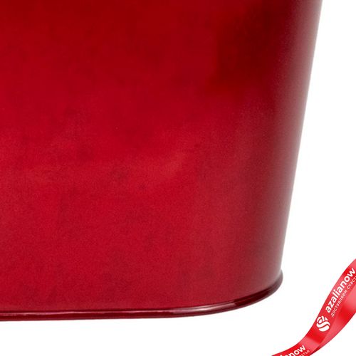 Фото 5: Кашпо (металл), 23x11,5хH12см, красный