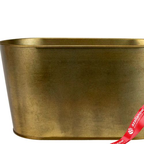 Фото 2: Кашпо (металл), 23x11,5хH12см, золотой