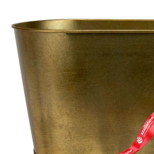 Фото 4: Кашпо (металл), 23x11,5хH12см, золотой