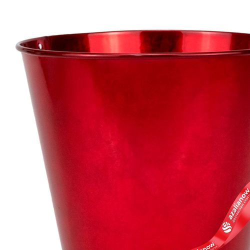 Фото 2: Кашпо «Ведерко» (металл), D13,5xH11,5см, красный