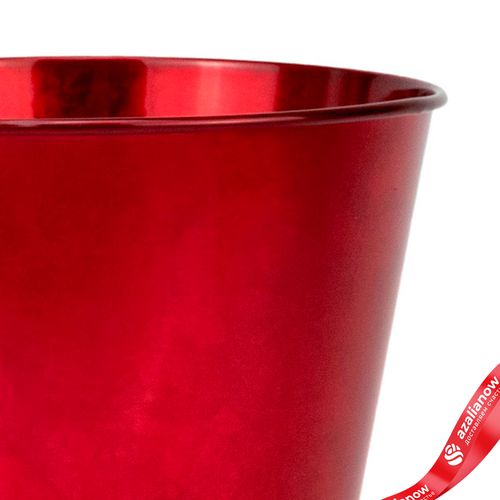 Фото 3: Кашпо «Ведерко» (металл), D13,5xH11,5см, красный