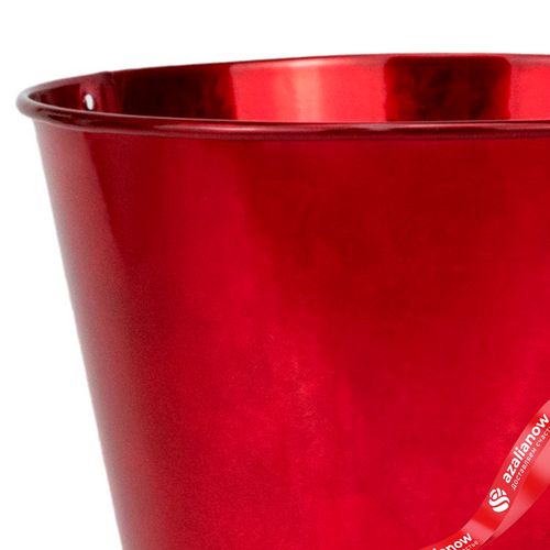 Фото 4: Кашпо «Ведерко» (металл), D13,5xH11,5см, красный