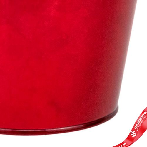 Фото 5: Кашпо «Ведерко» (металл), D13,5xH11,5см, красный