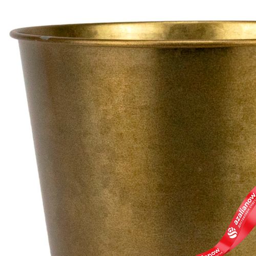 Фото 4: Кашпо «Ведерко» (металл), D13,5xH11,5см, золотой