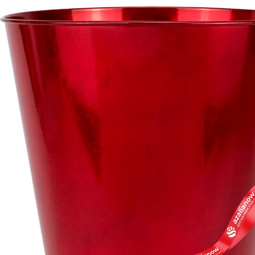 Фото 2: Кашпо «Ведерко» (металл), D17,5xH16,5см, красный