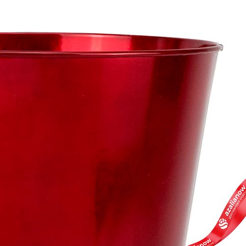 Фото 3: Кашпо «Ведерко» (металл), D17,5xH16,5см, красный