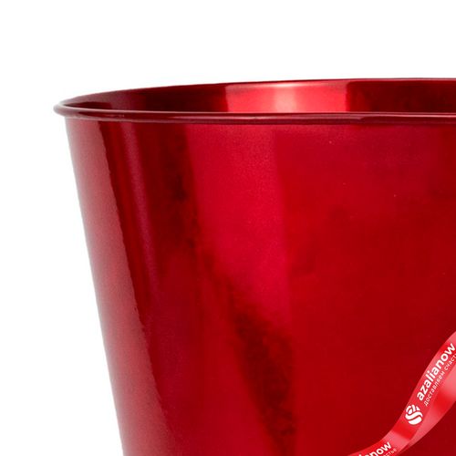 Фото 4: Кашпо «Ведерко» (металл), D17,5xH16,5см, красный