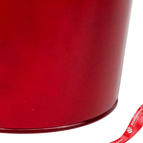 Фото 5: Кашпо «Ведерко» (металл), D17,5xH16,5см, красный