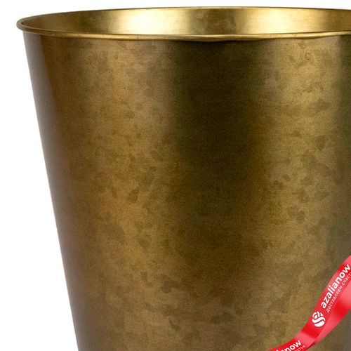 Фото 2: Кашпо «Ведерко» (металл), D17,5xH16,5см, золотой