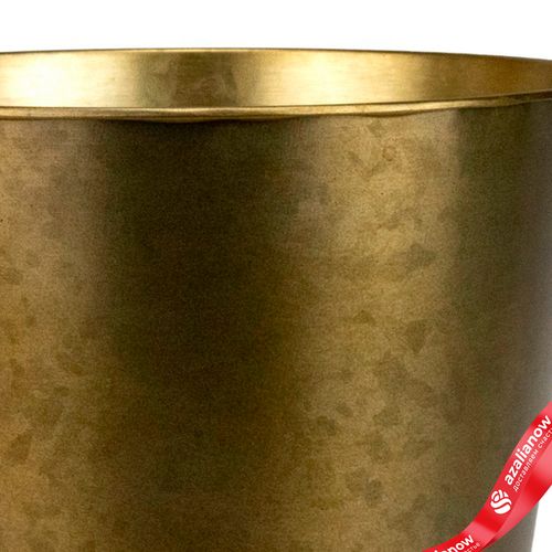 Фото 3: Кашпо «Ведерко» (металл), D17,5xH16,5см, золотой