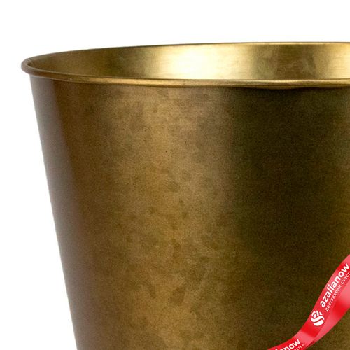 Фото 4: Кашпо «Ведерко» (металл), D17,5xH16,5см, золотой