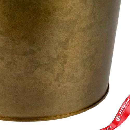 Фото 5: Кашпо «Ведерко» (металл), D17,5xH16,5см, золотой