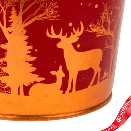 Фото 5: Кашпо «Ведерко Зимний пейзаж» (металл), D13,5xH11,5см, красный/золотой