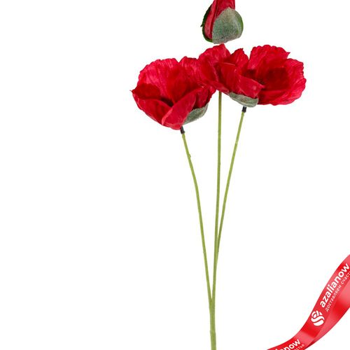 Фото 2: Мак искусственный (пластик), 50см, красный