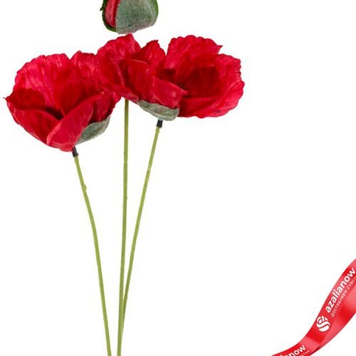 Фото 3: Мак искусственный (пластик), 50см, красный