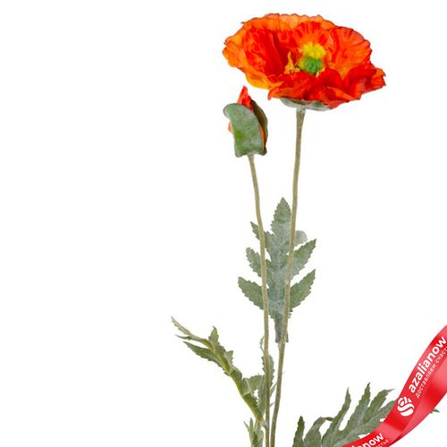 Фото 4: Мак искусственный (пластик), 50см, оранжевый