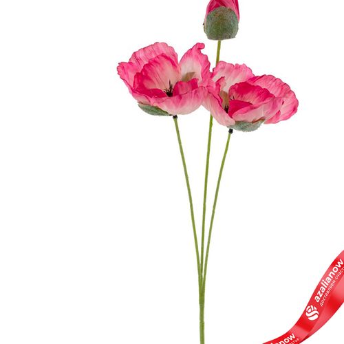 Фото 2: Мак искусственный (пластик), 50см, розовый