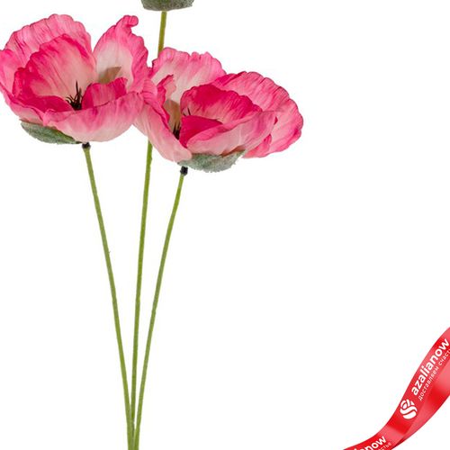 Фото 3: Мак искусственный (пластик), 50см, розовый