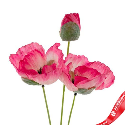 Фото 5: Мак искусственный (пластик), 50см, розовый