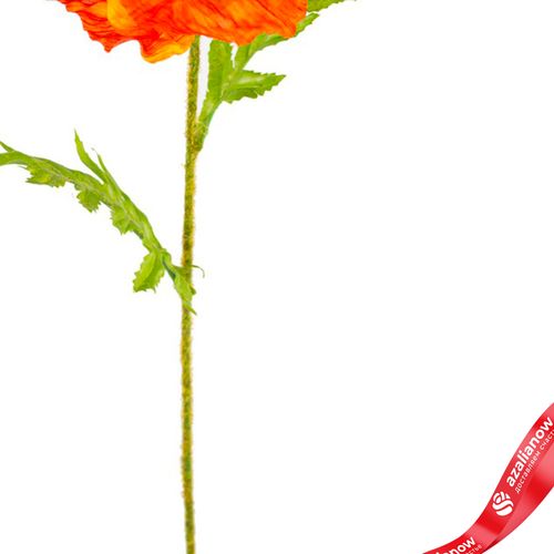 Фото 3: Мак искусственный (пластик), 57см, оранжевый