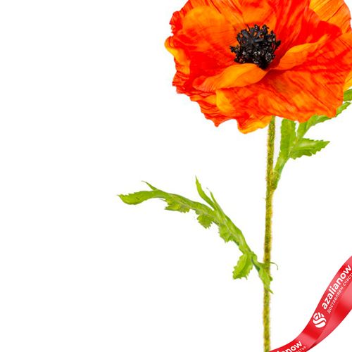 Фото 4: Мак искусственный (пластик), 57см, оранжевый