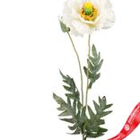 Маленькое фото 2: Мак искусственный (пластик), 72см, белый