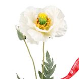 Маленькое фото 5: Мак искусственный (пластик), 72см, белый