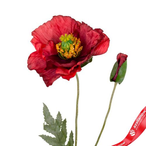 Фото 5: Мак искусственный (пластик), 72см, красный