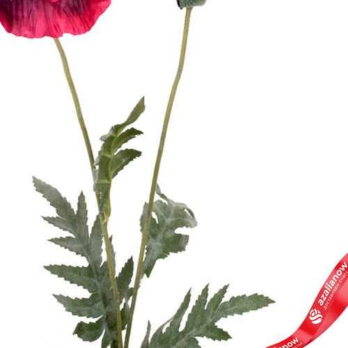 Фото 3: Мак искусственный (пластик), 72см, розовый