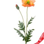 Маленькое фото 2: Мак искусственный (пластик), 72см, светло-розовый