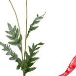 Маленькое фото 3: Мак искусственный (пластик), 72см, светло-розовый