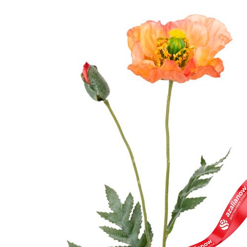 Фото 4: Мак искусственный (пластик), 72см, светло-розовый