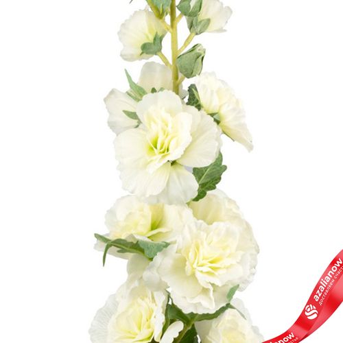 Фото 5: Мальва искусственная (пластик), 91см, белый