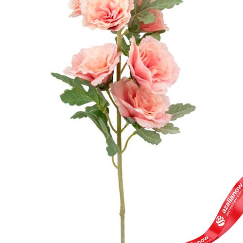 Фото 5: Мальва искусственная (пластик), 91см, персиковый